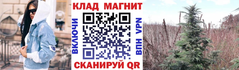 Купить закладку Метамфетамин  Мефедрон  Cocaine  СОЛЬ  АМФЕТАМИН  Сольвычегодск