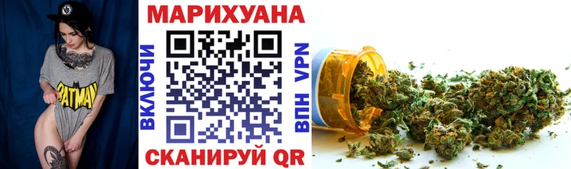 Купить закладки  Сольвычегодск  Бошки марихуана конопля 